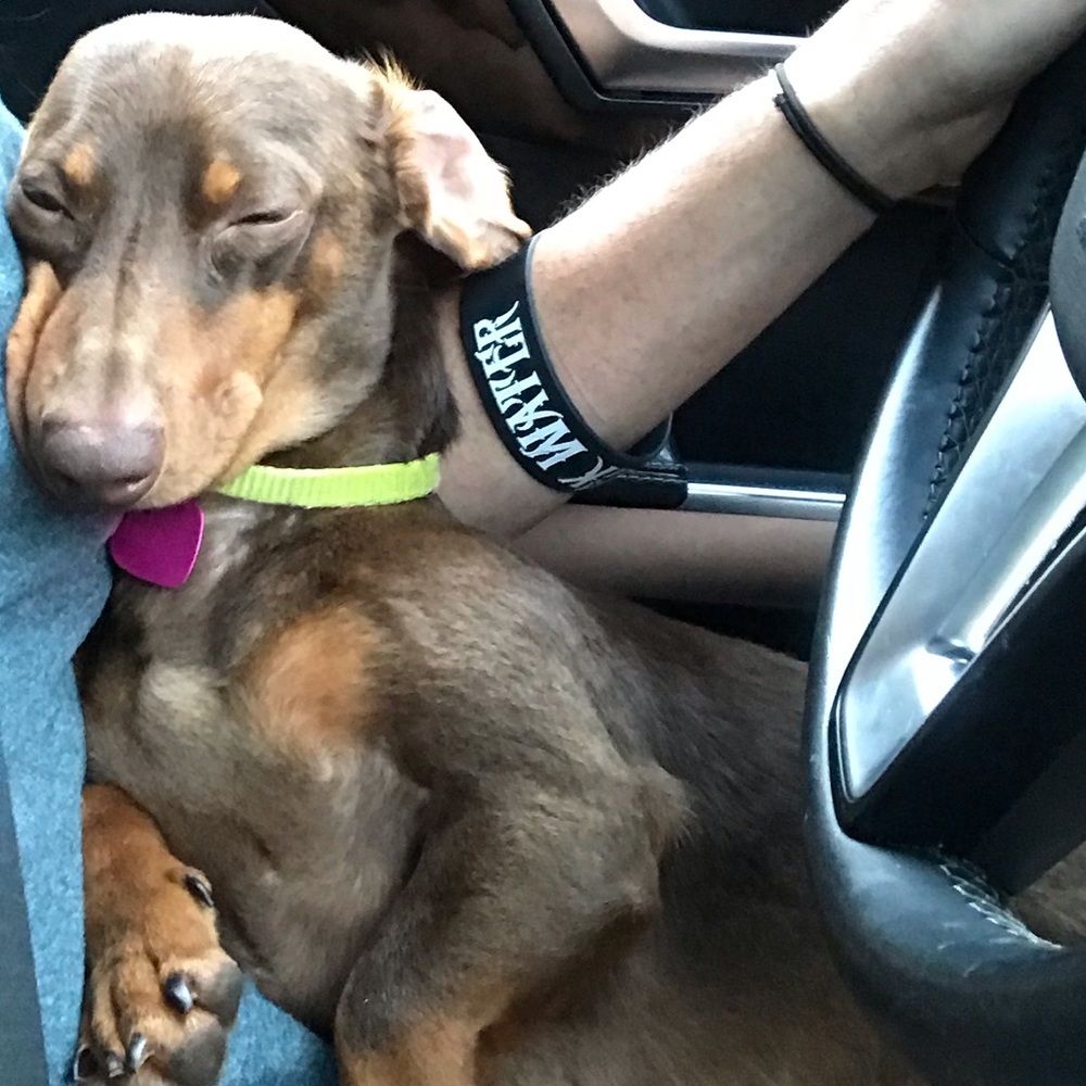 Meet your Posher, Rachel